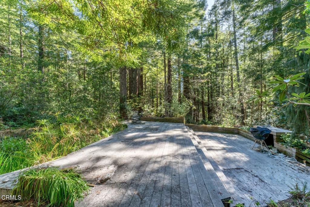 33100 Frog Pond Road Property Photo 43
