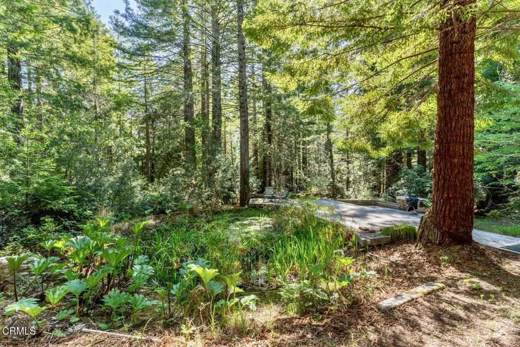33100 Frog Pond Road Property Photo 47