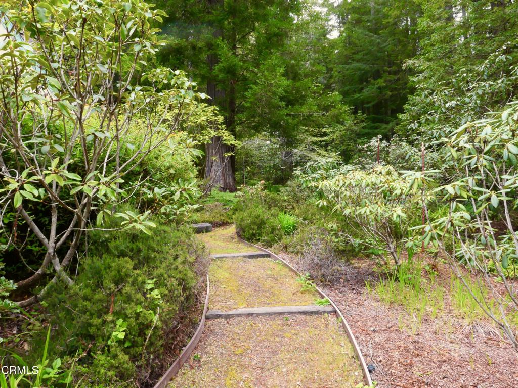 33100 Frog Pond Road Property Photo 48