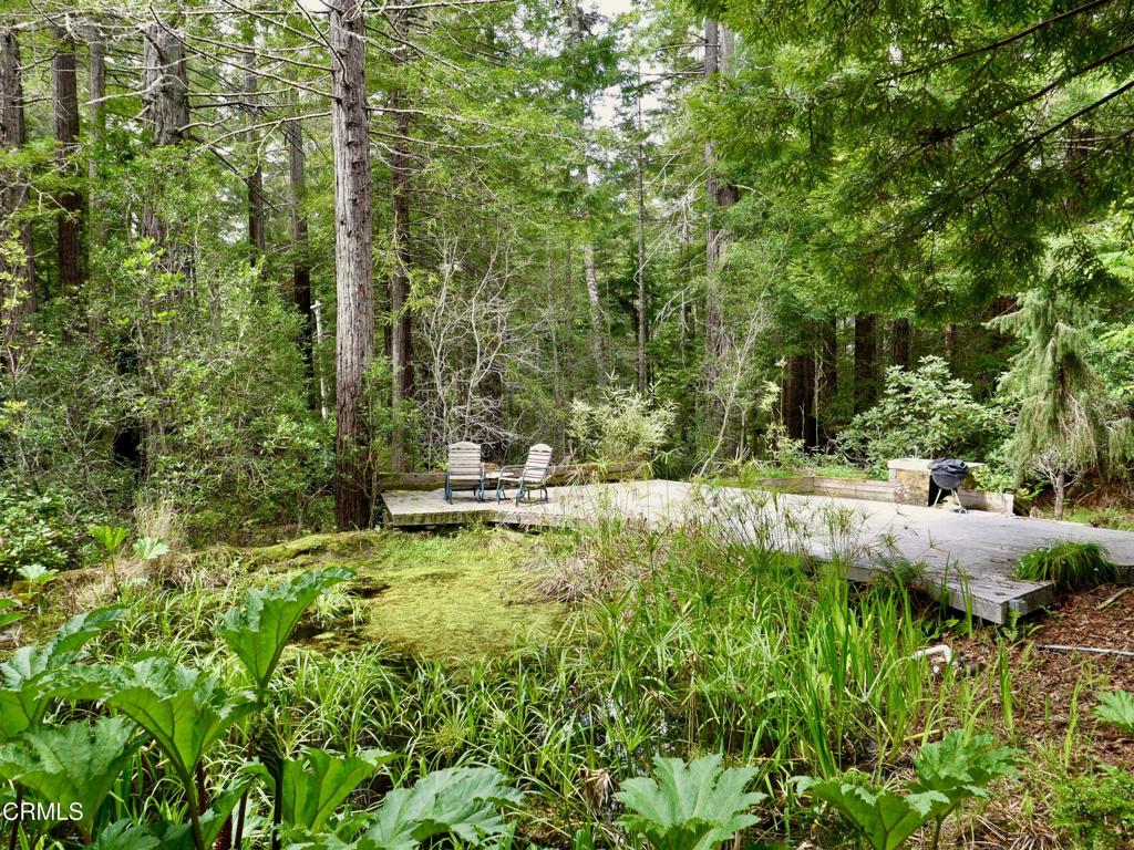 33100 Frog Pond Road Property Photo 49