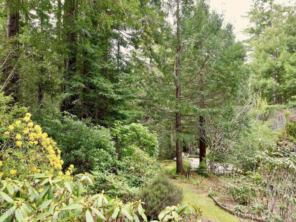 33100 Frog Pond Road Property Photo 50