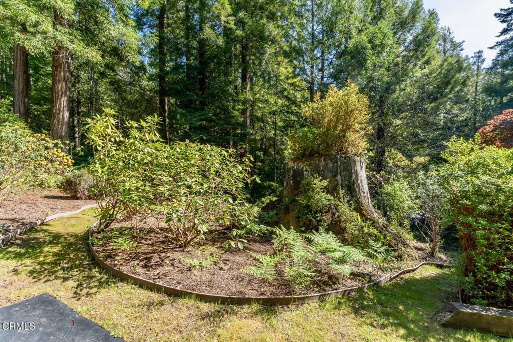 33100 Frog Pond Road Property Photo 51