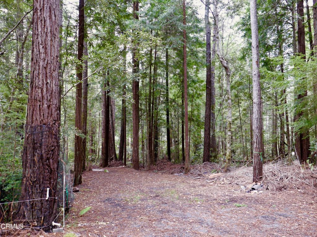 33100 Frog Pond Road Property Photo 54