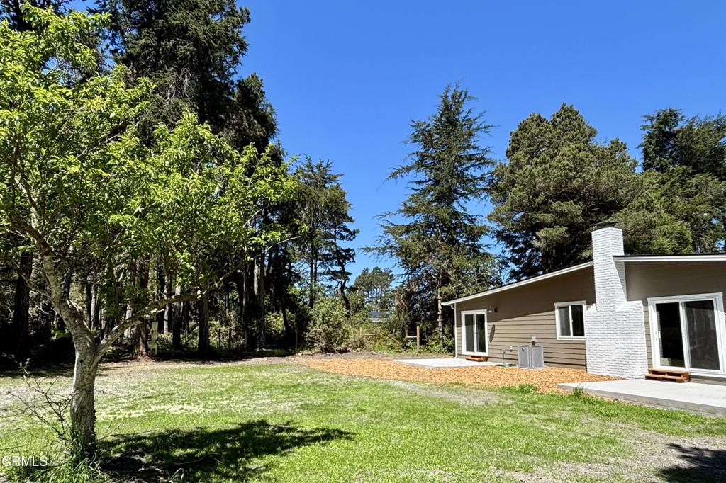 31301 Turner Road Property Photo 16