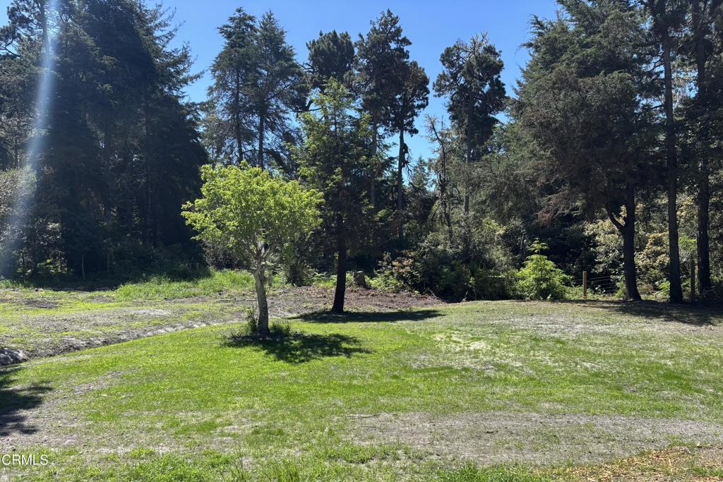 31301 Turner Road Property Photo 17