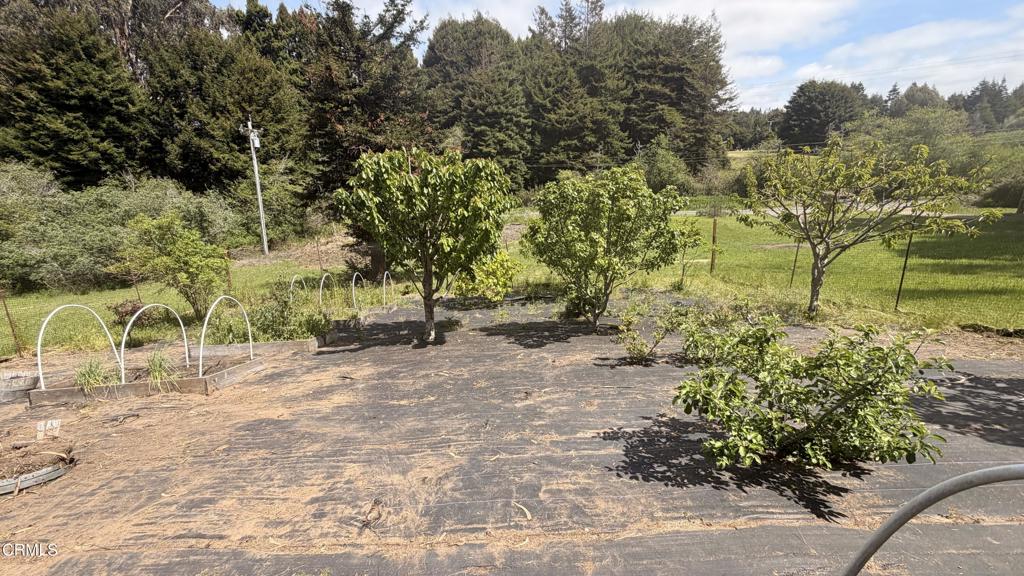 27030 Hwy 1 Property Photo 29