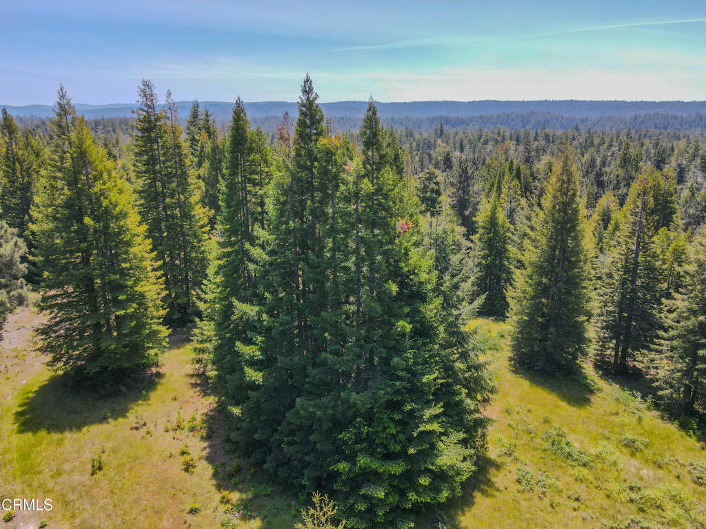 28540 Albion Ridge Road Property Photo 4
