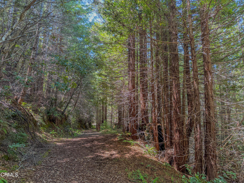 28540 Albion Ridge Road Property Photo 6