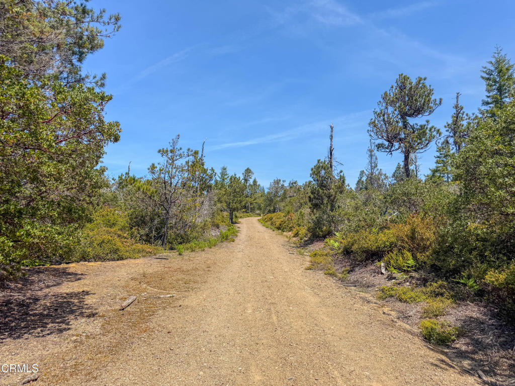 28540 Albion Ridge Road Property Photo 7