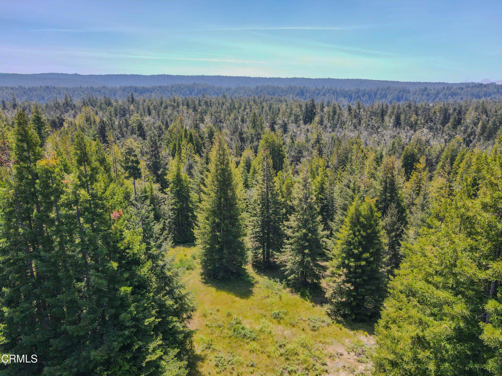 28540 Albion Ridge Road Property Photo 10