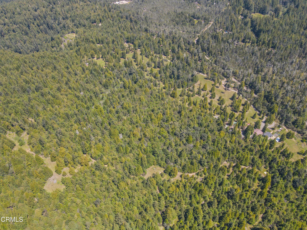 28540 Albion Ridge Road Property Photo 13