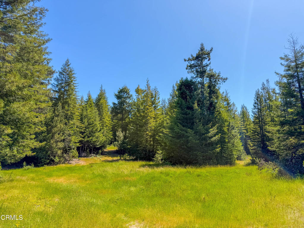 28540 Albion Ridge Road Property Photo 15