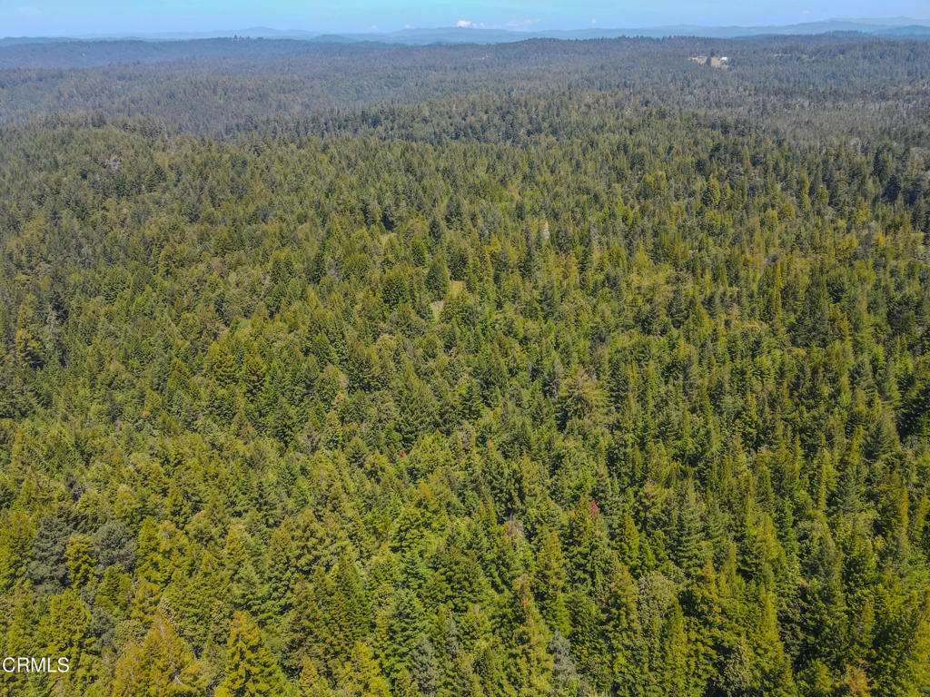 28540 Albion Ridge Road Property Photo 19