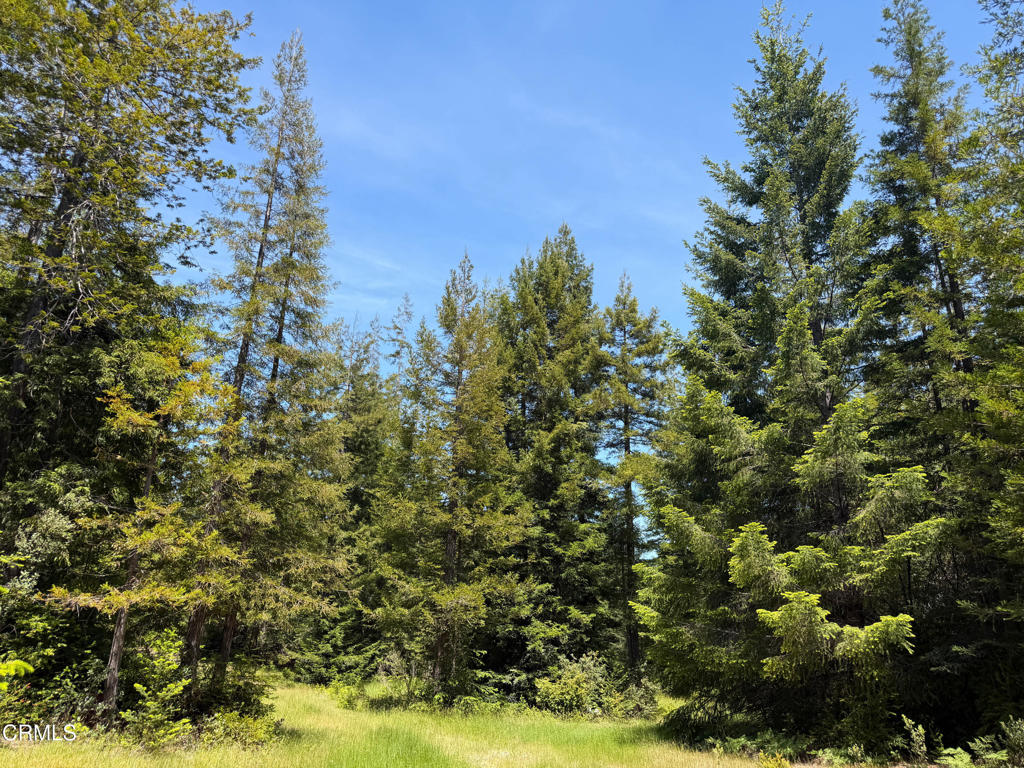 28540 Albion Ridge Road Property Photo 26