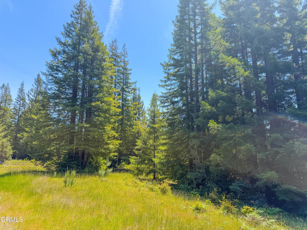 28540 Albion Ridge Road Property Photo 27
