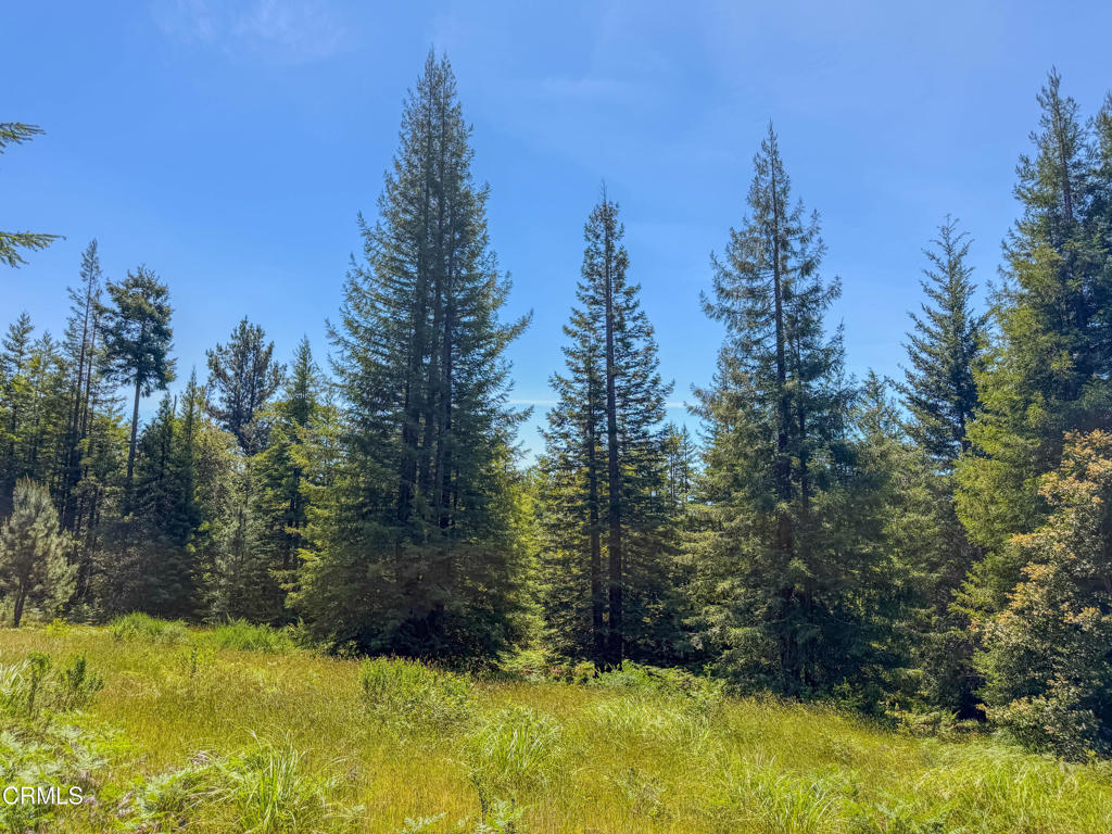 28540 Albion Ridge Road Property Photo 29