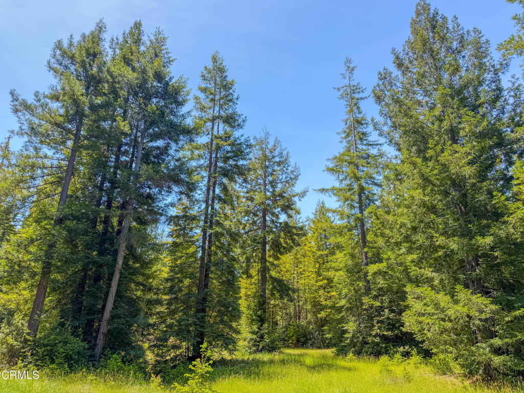 28540 Albion Ridge Road Property Photo 31