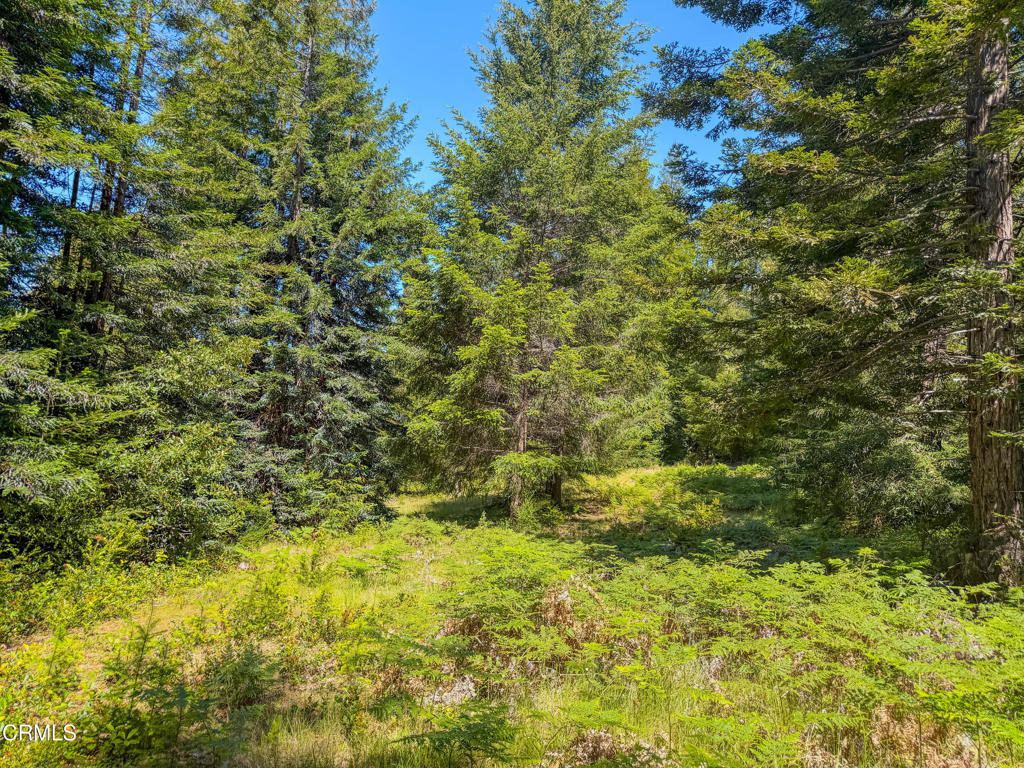 28540 Albion Ridge Road Property Photo 32