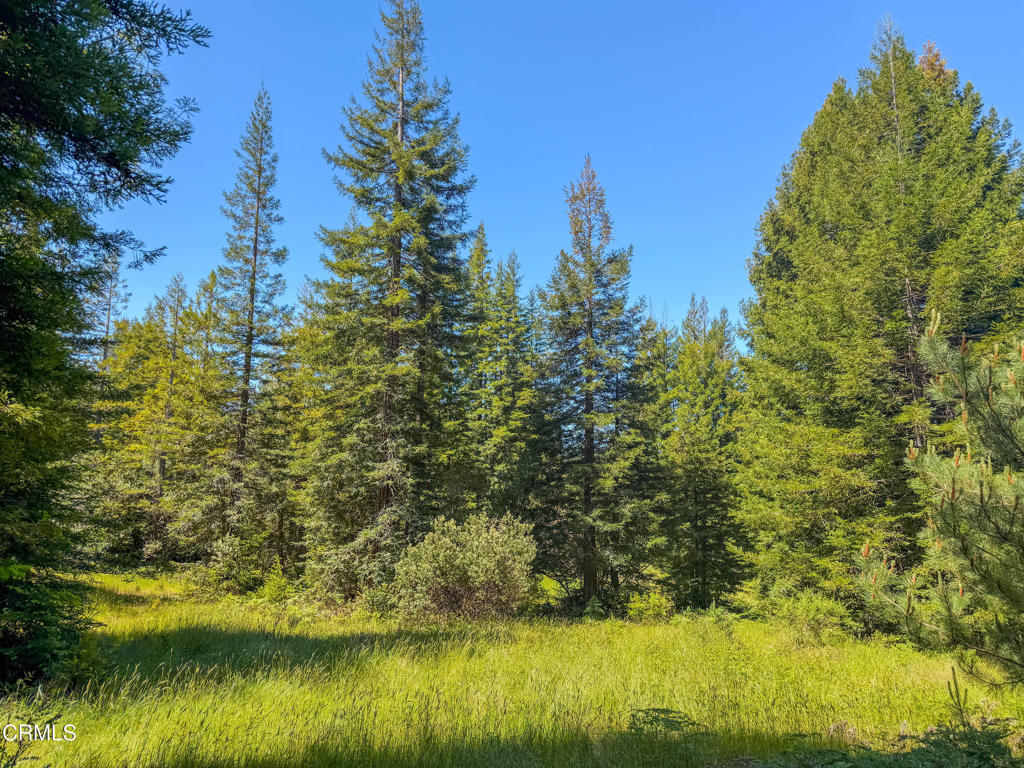 28540 Albion Ridge Road Property Photo 33