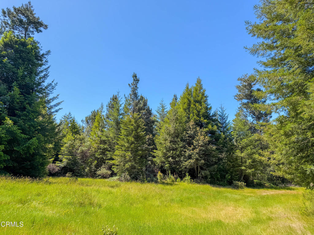 28540 Albion Ridge Road Property Photo 34