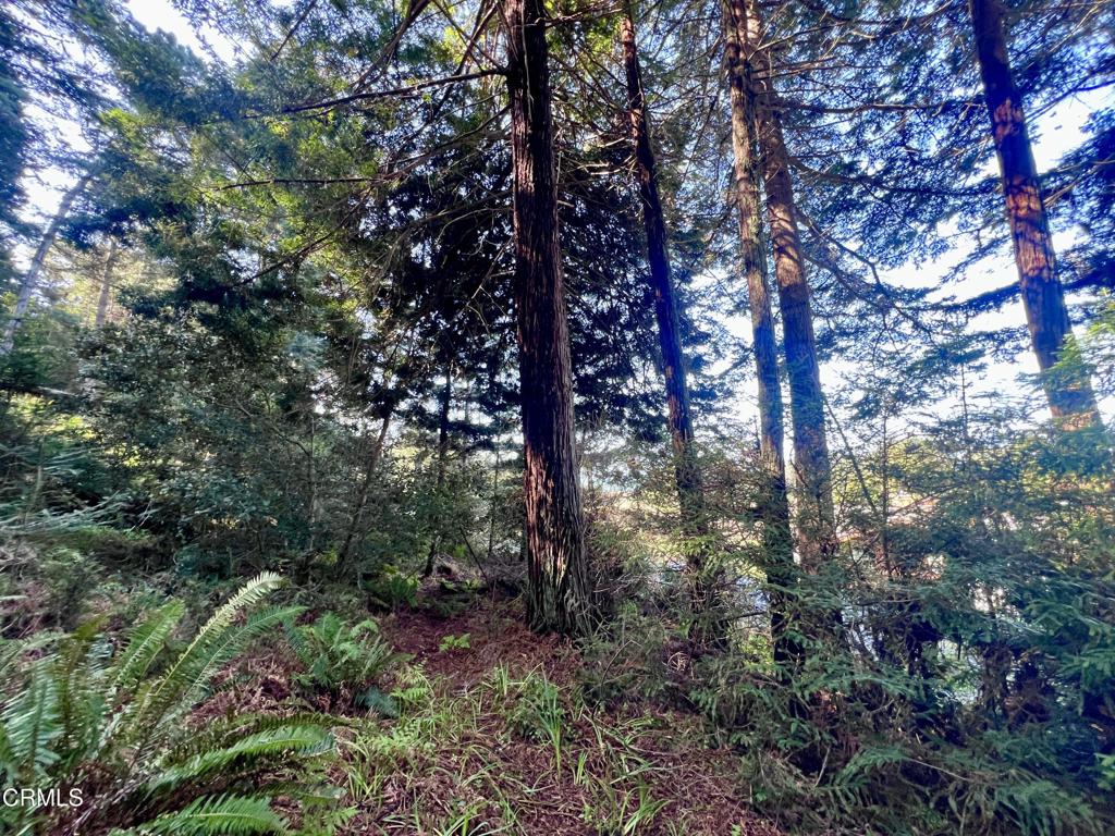15301 Forest View Road Property Photo 2