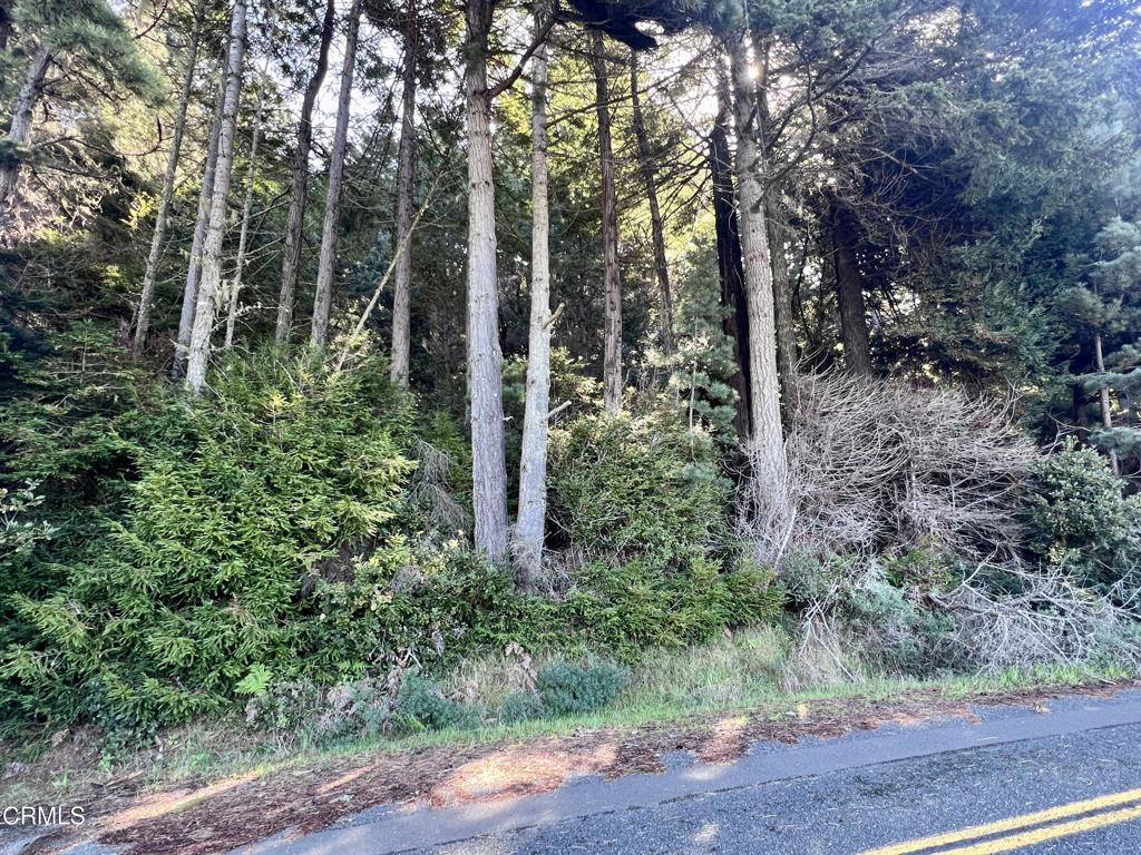 15301 Forest View Road Property Photo 3