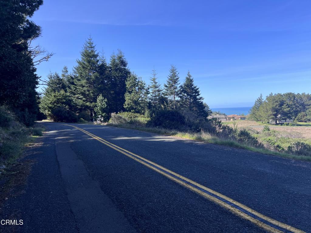 15301 Forest View Road Property Photo 4
