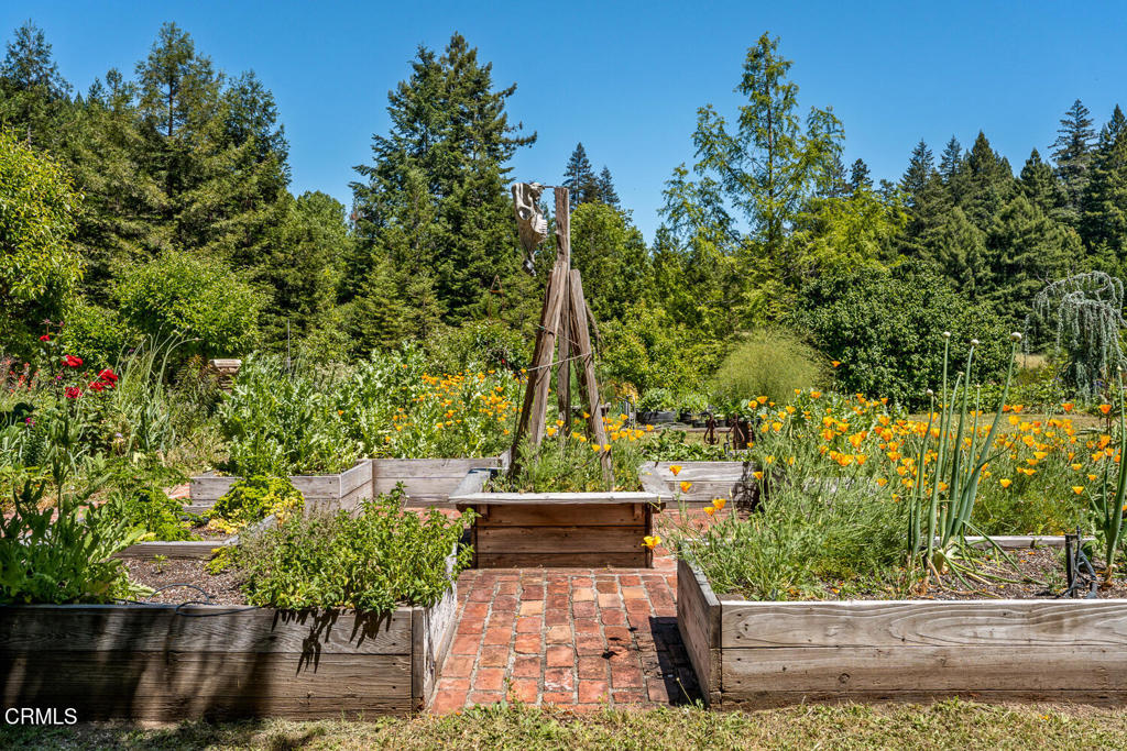 31501 Comptche Ukiah Road Property Photo 4