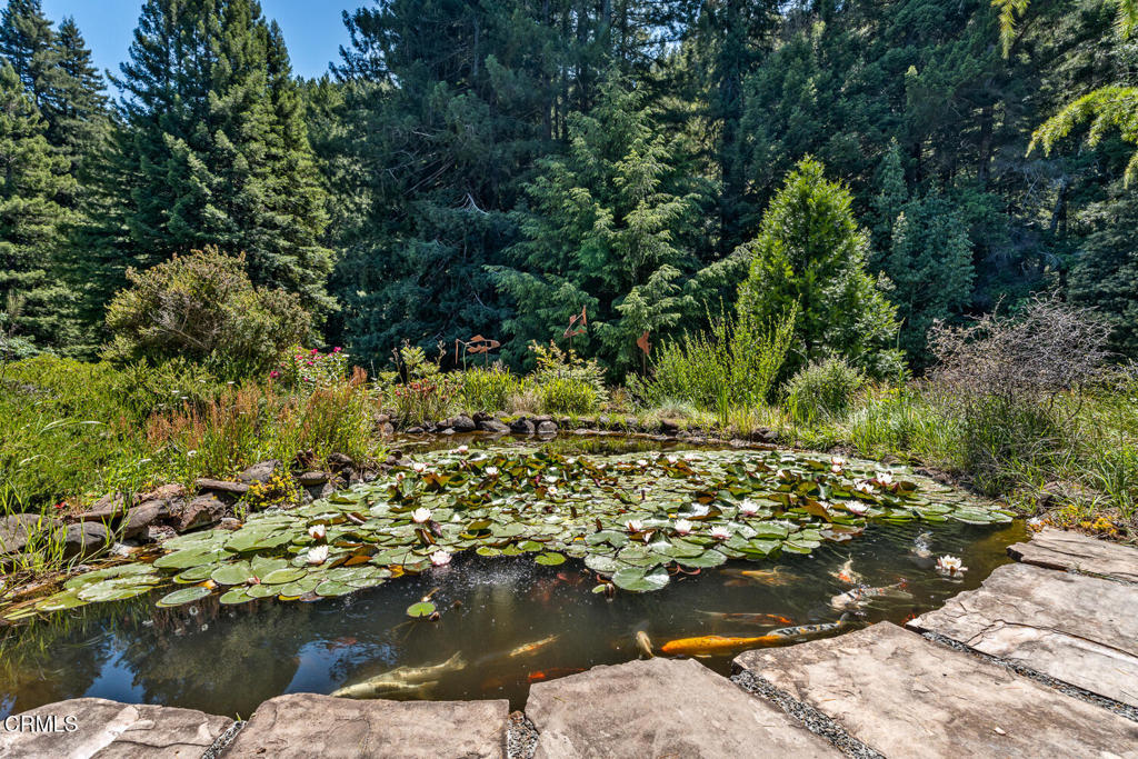 31501 Comptche Ukiah Road Property Photo 19