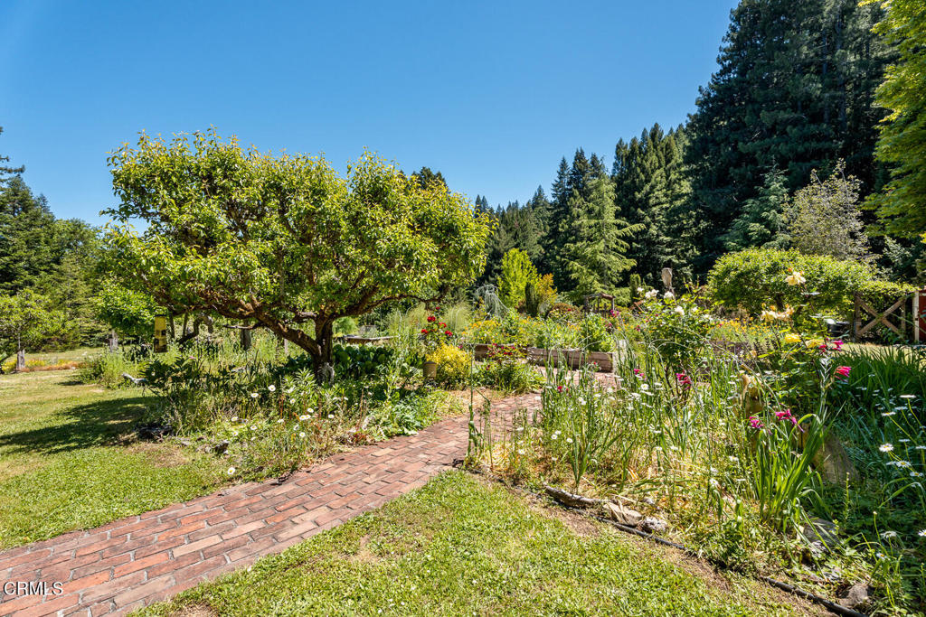 31501 Comptche Ukiah Road Property Photo 36
