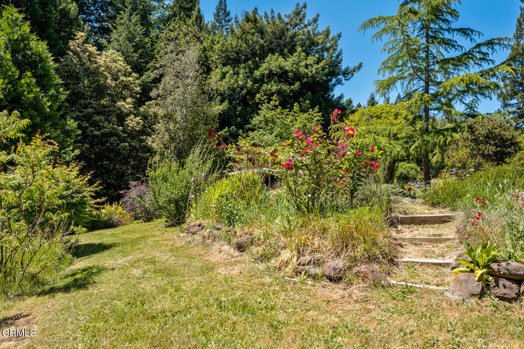 31501 Comptche Ukiah Road Property Photo 37