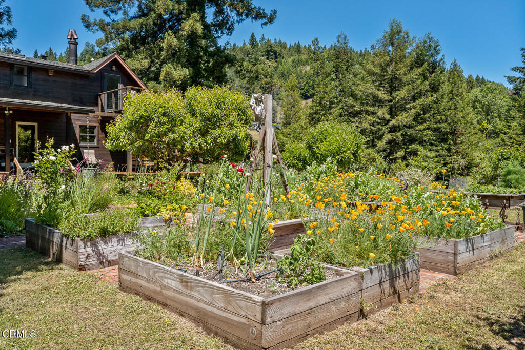 31501 Comptche Ukiah Road Property Photo 41