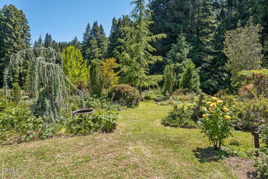 31501 Comptche Ukiah Road Property Photo 43
