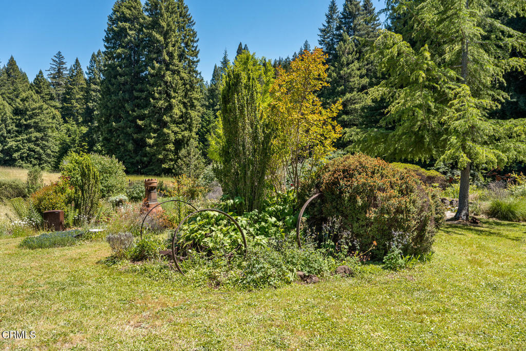 31501 Comptche Ukiah Road Property Photo 44