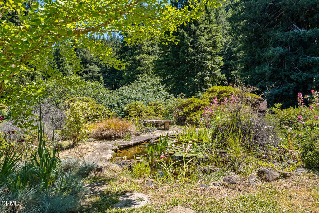 31501 Comptche Ukiah Road Property Photo 45