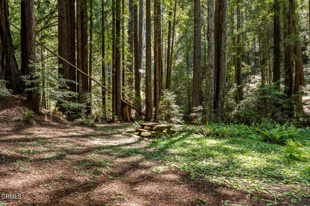 31501 Comptche Ukiah Road Property Photo 46