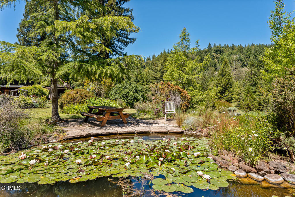 31501 Comptche Ukiah Road Property Photo 49