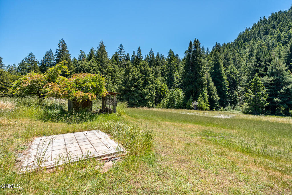 31501 Comptche Ukiah Road Property Photo 61