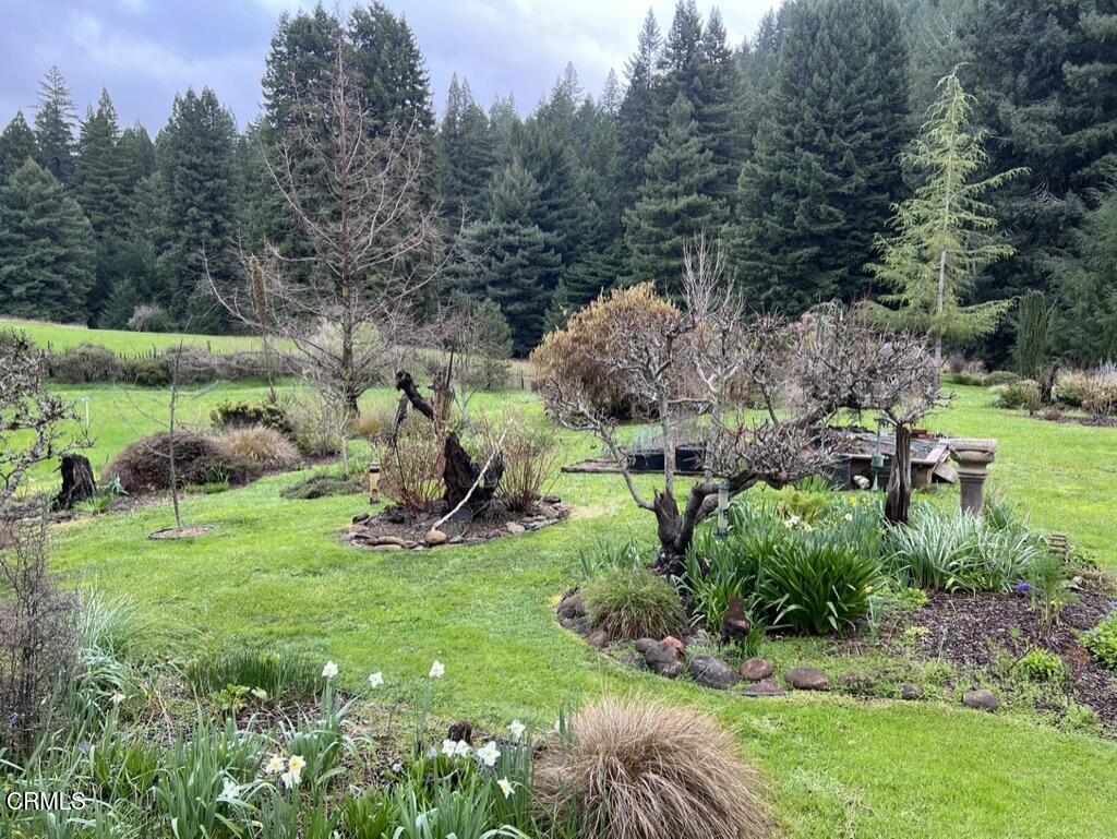 31501 Comptche Ukiah Road Property Photo 63