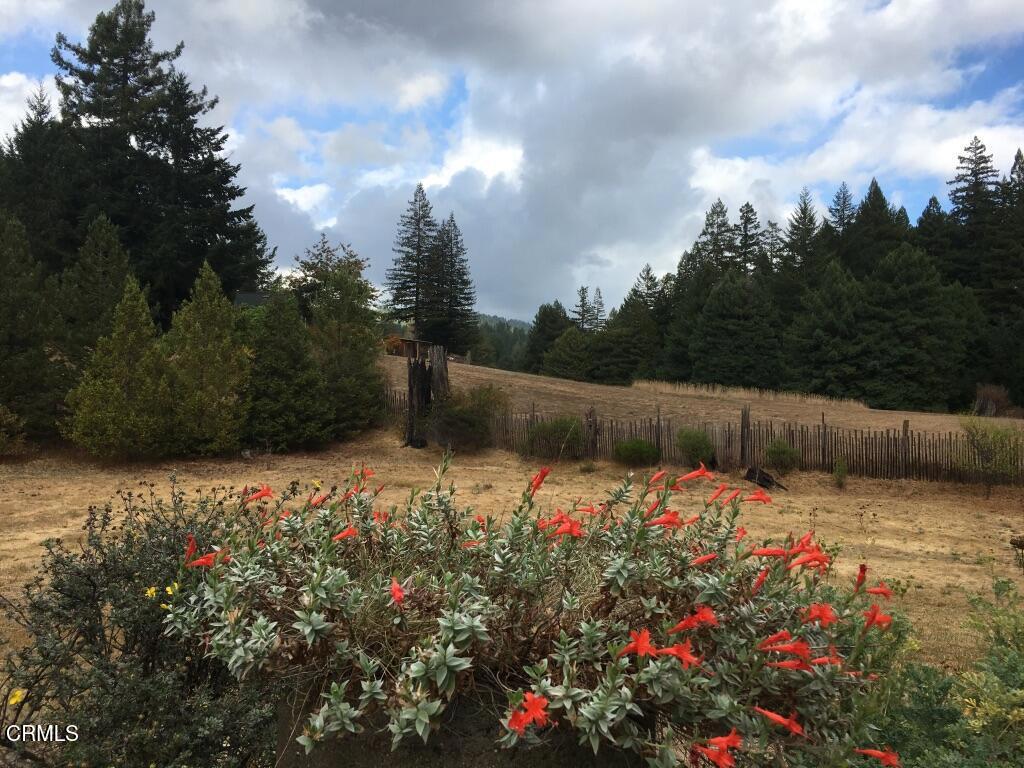 31501 Comptche Ukiah Road Property Photo 67