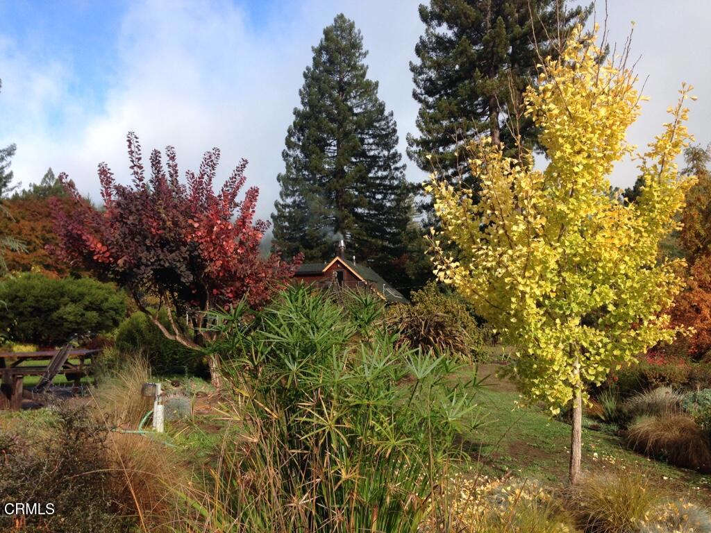 31501 Comptche Ukiah Road Property Photo 73