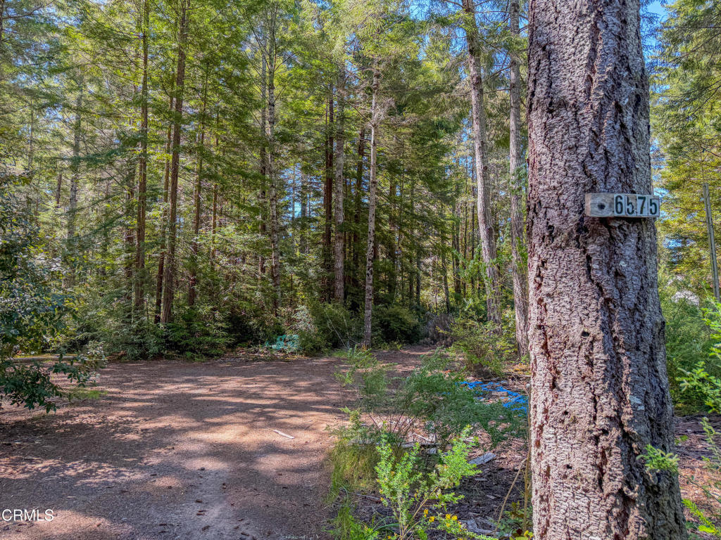 6575 Road 18 Property Photo 5