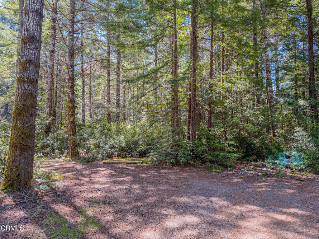 6575 Road 18 Property Photo 12
