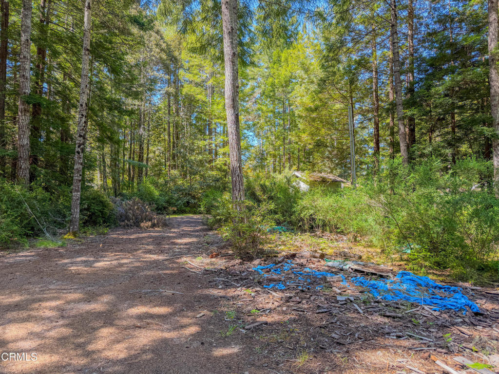 6575 Road 18 Property Photo 15