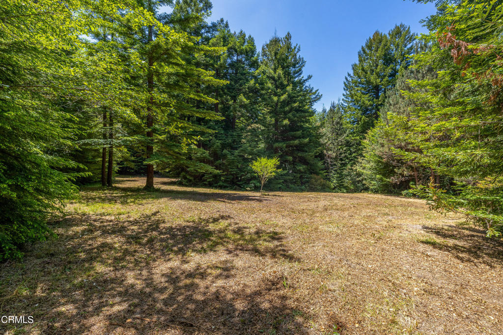 15620 Shane Drive Property Photo 1