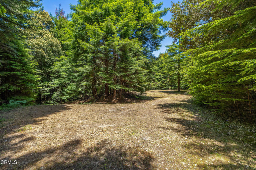 15620 Shane Drive Property Photo 2