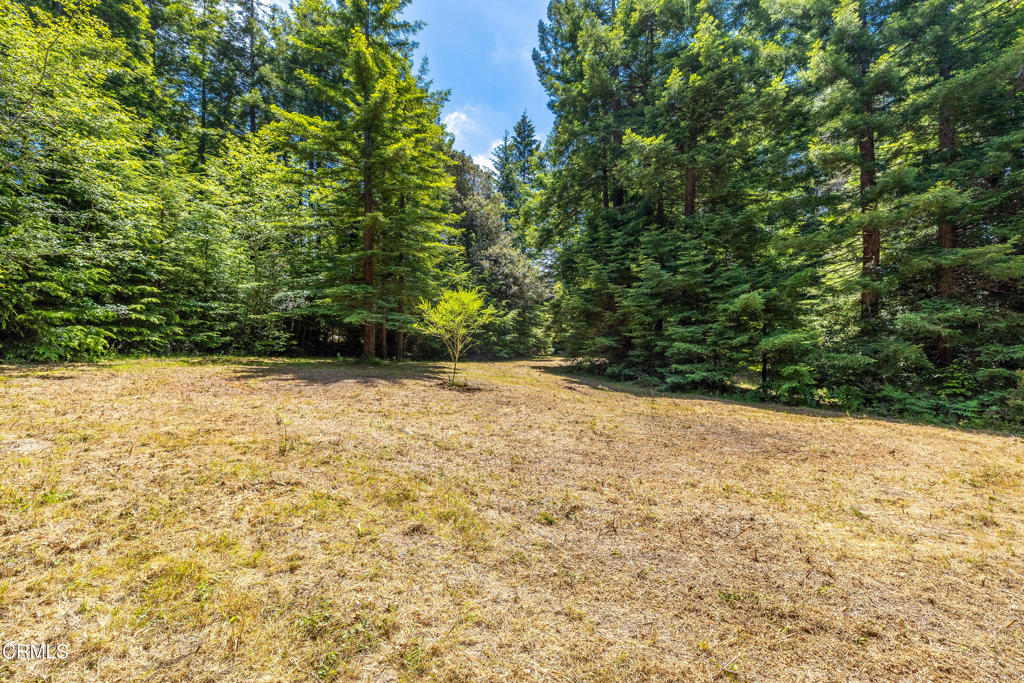 15620 Shane Drive Property Photo 3