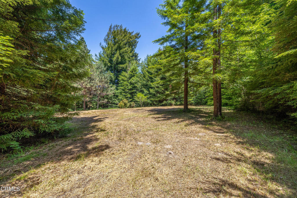 15620 Shane Drive Property Photo 5