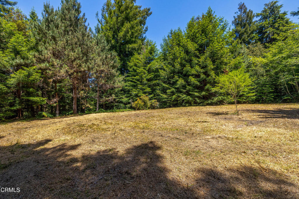15620 Shane Drive Property Photo 10