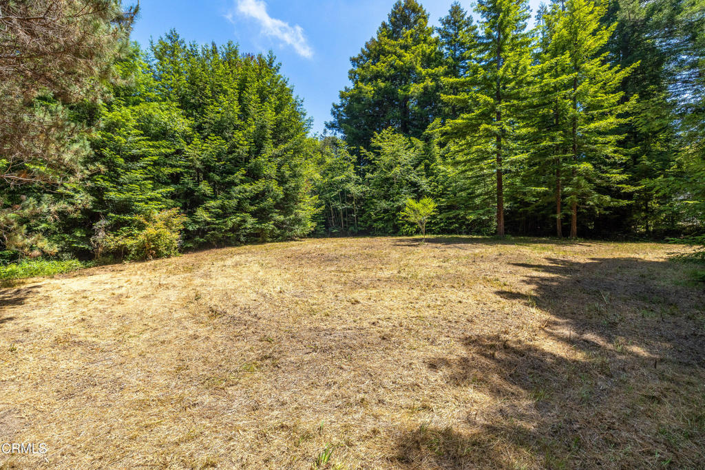 15620 Shane Drive Property Photo 13